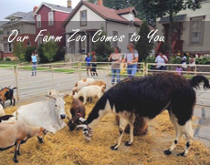 Our Farm Zoo Comes to You